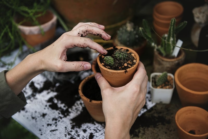 Customized Plant Shelf